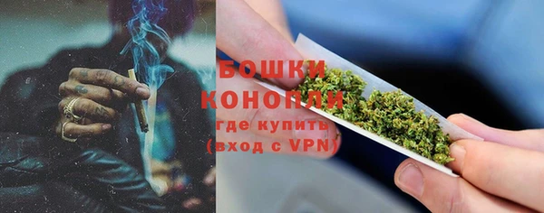 прущие крисы Белокуриха