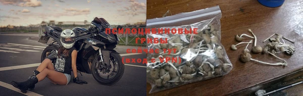 дмт Богородск
