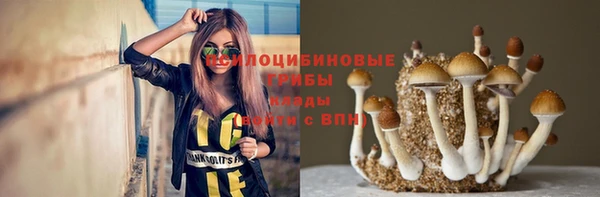 прущие крисы Белокуриха