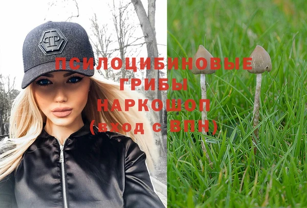 прущие крисы Белокуриха