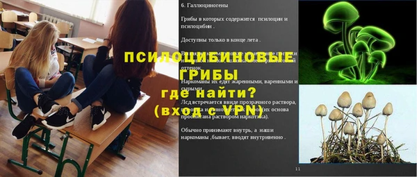 гидра Беломорск